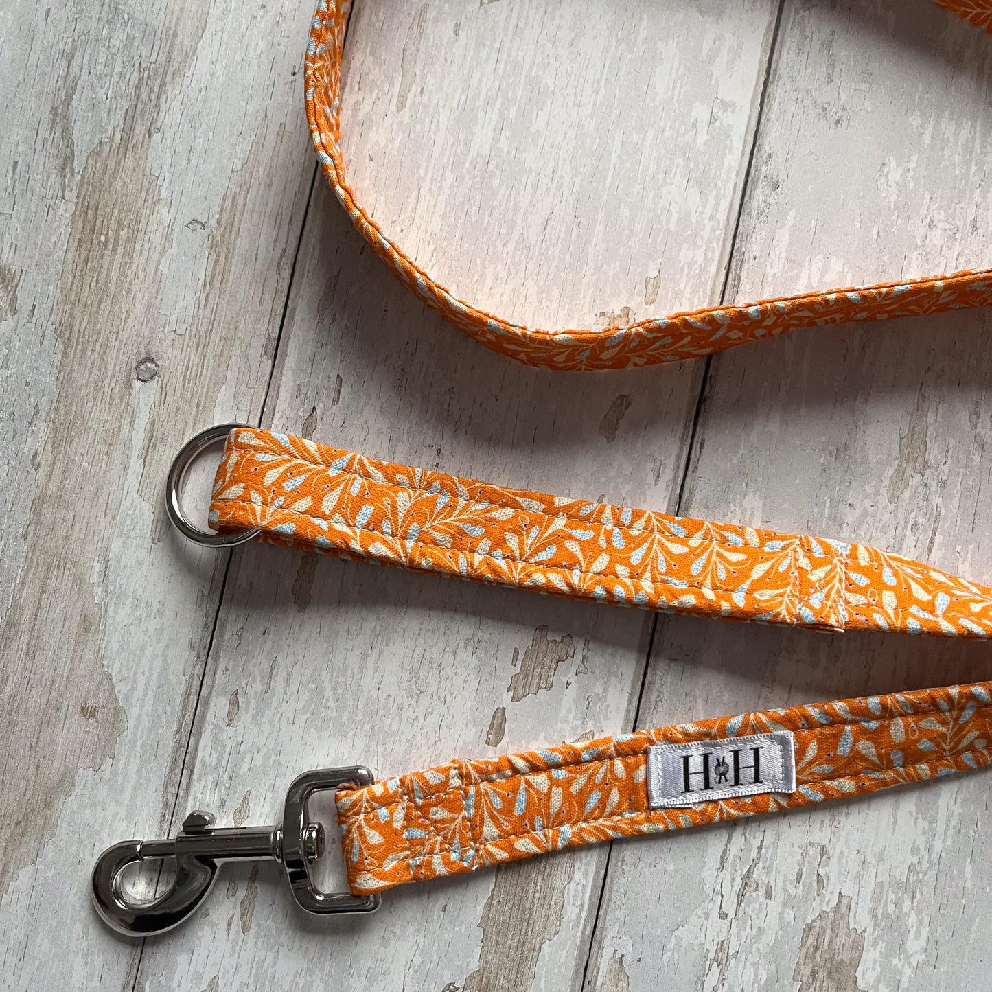 Autumn Leaves Dog Lead / Leash