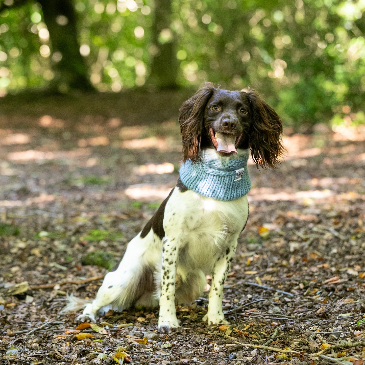 Baby blue Hetty and Huxley hand knitted snood modelled by a spaniel