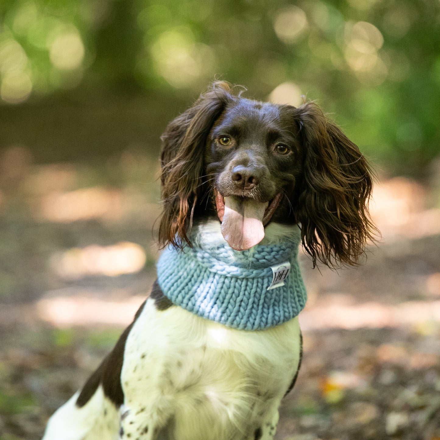 Baby blue Hetty and Huxley hand knitted snood modelled by a spaniel