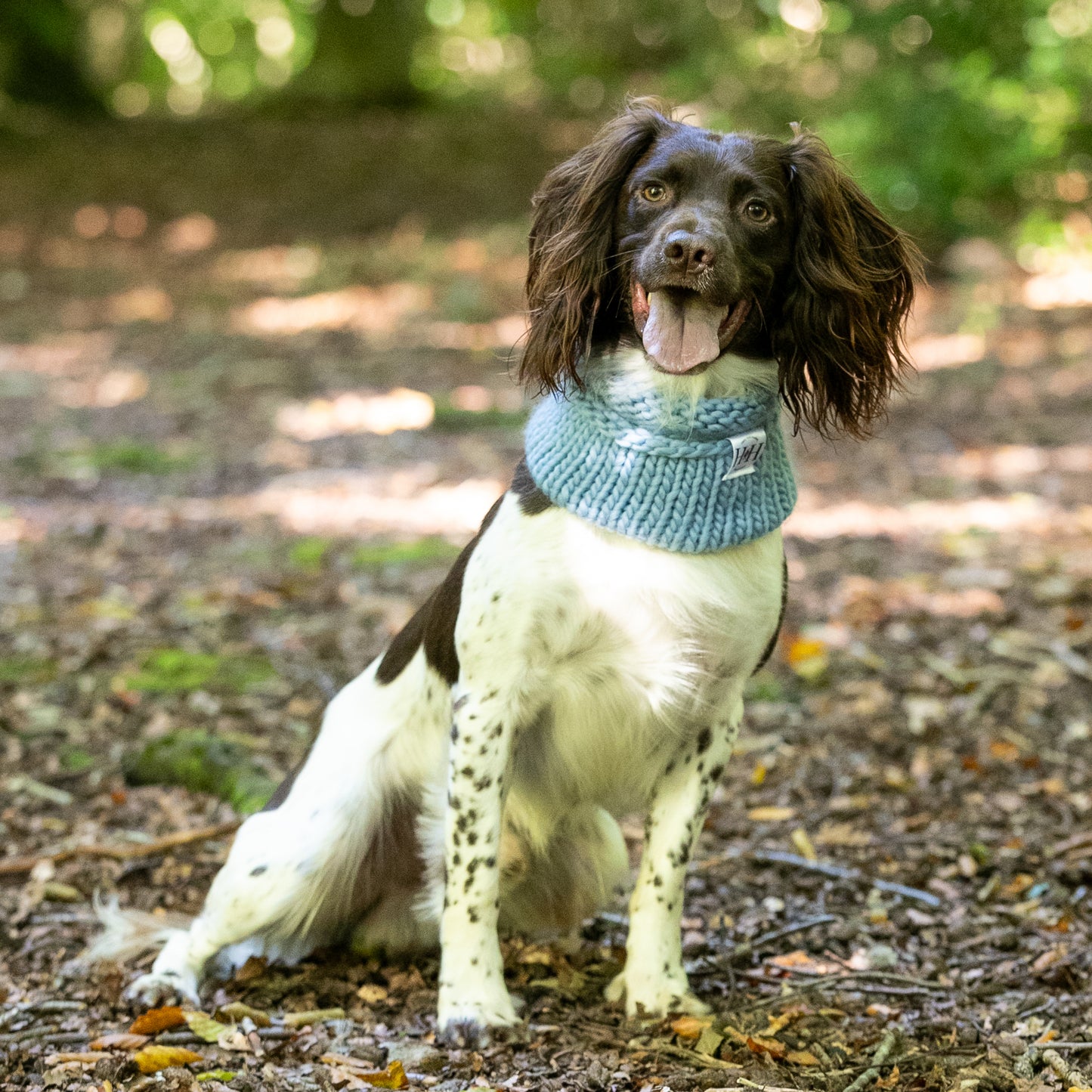 Baby blue Hetty and Huxley hand knitted snood modelled by a spaniel