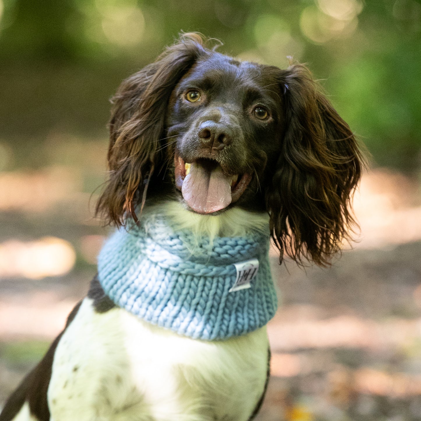 Baby blue Hetty and Huxley hand knitted snood modelled by a spaniel