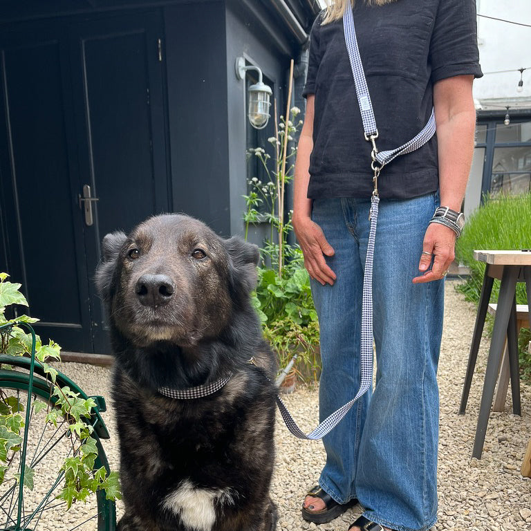 HETTY AND HUXLEY HANDS FREE LEAD EXTENSION USE