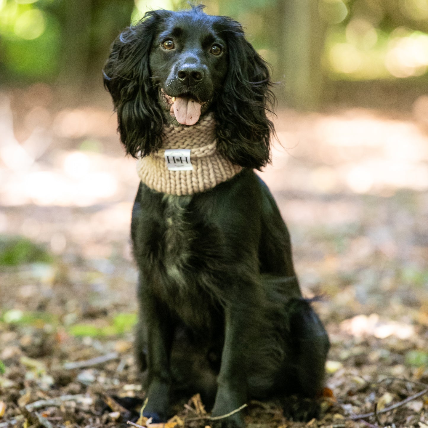 HETTY AND HUXLEY MINK HAND KNITTED SNOOD ON COCKER SPANIEL
