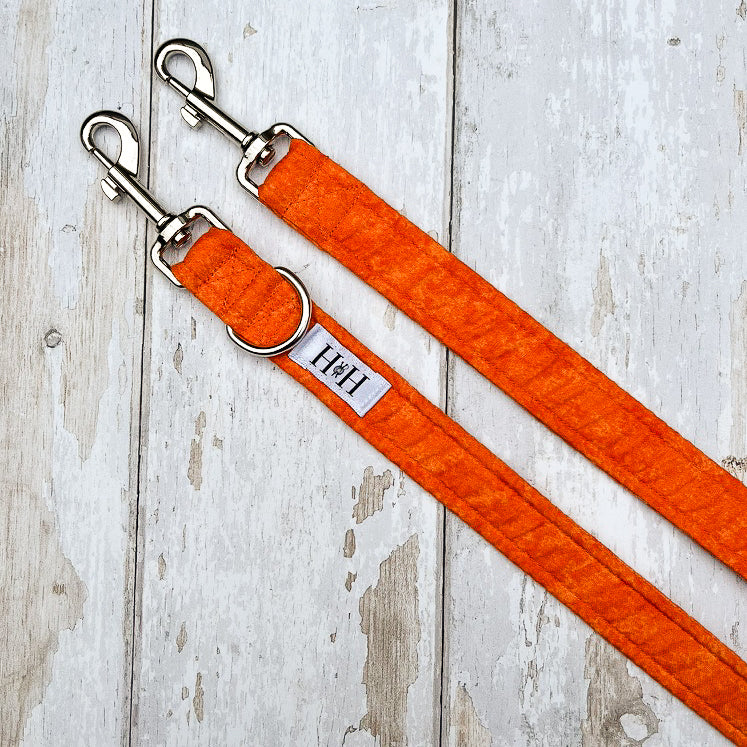 HETTY AND HUXLEY ORANGE FIRE LEAD EXTENSION