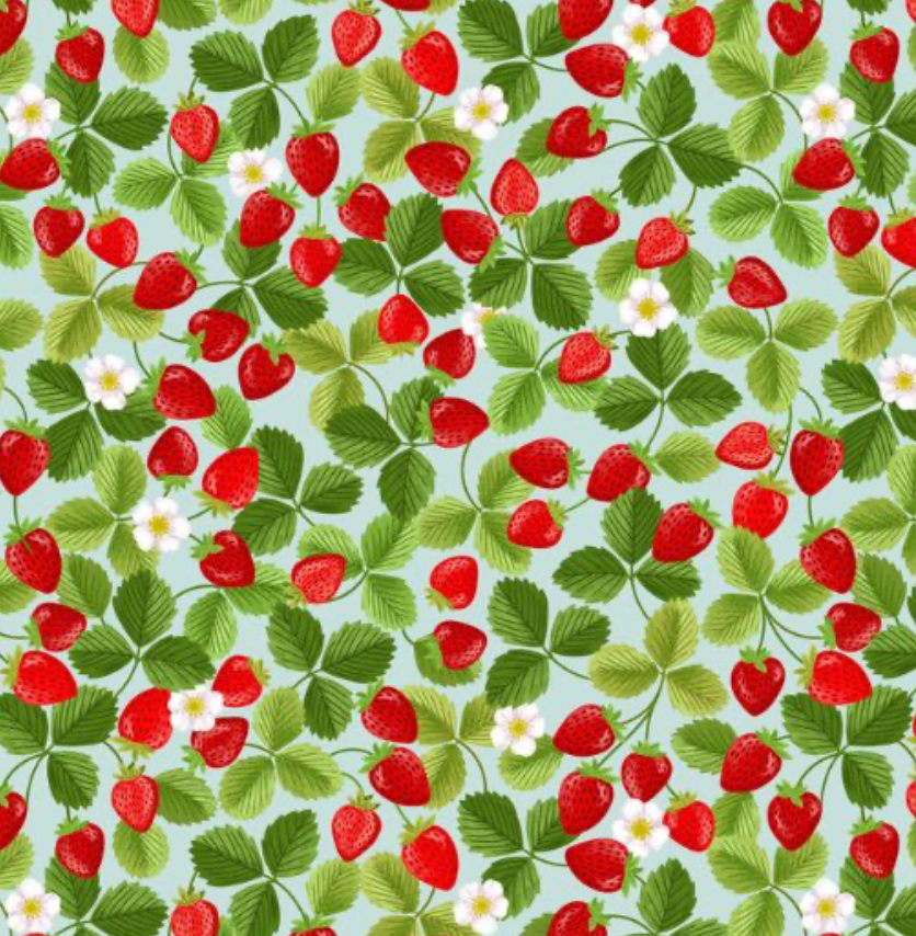 Summer Strawberries Dog Lead / Leash