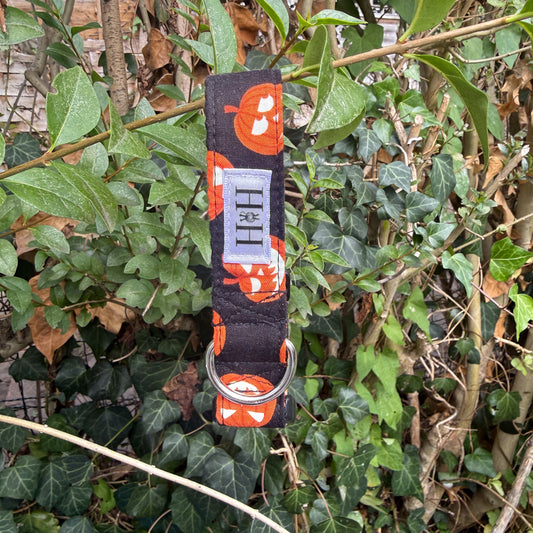 Halloween Pumpkins Glow in the Dark Dog Collar