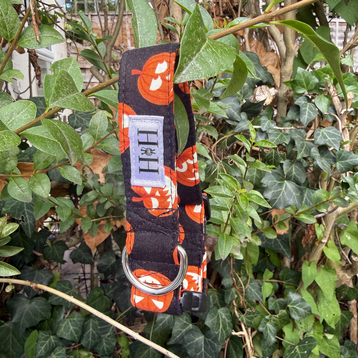 Halloween Pumpkins Glow in the Dark Dog Collar