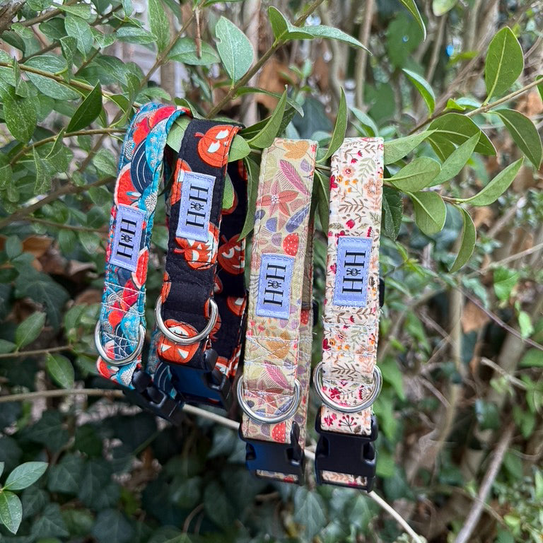Autumn Foliage Dog Collar