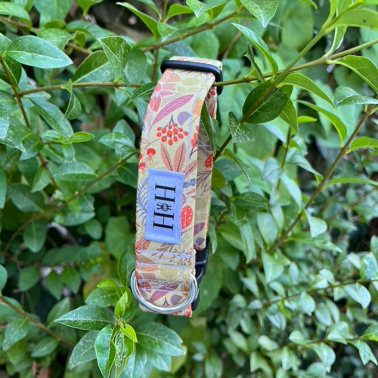 Autumn Foliage Dog Collar