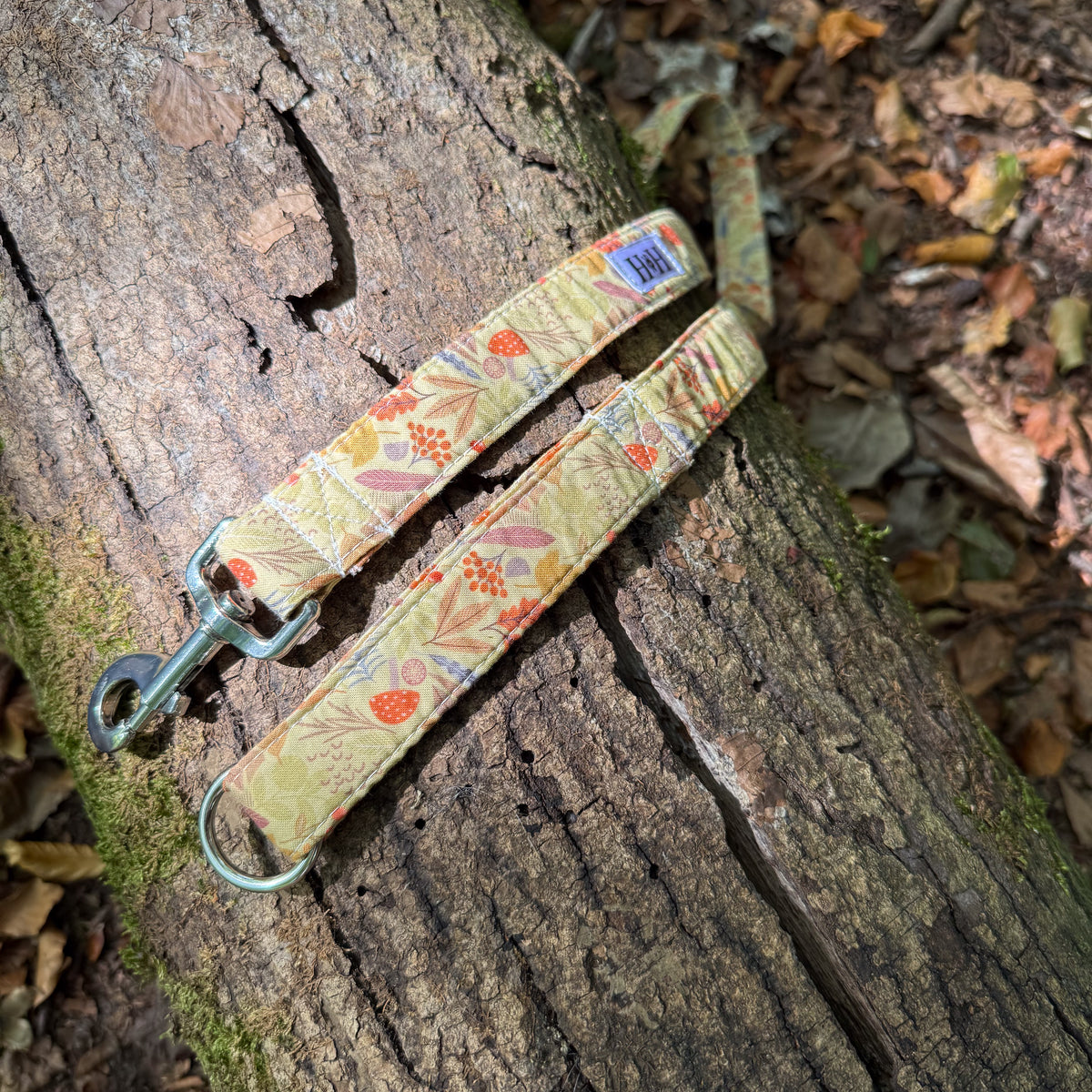 Autumn Foliage Dog Lead / Leash