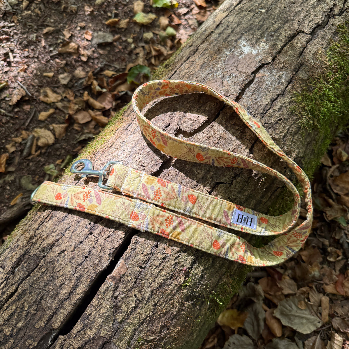 Autumn Foliage Dog Lead / Leash