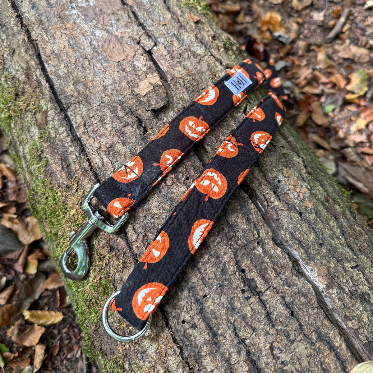 Halloween Pumpkins Glow in the Dark Dog Lead / Leash