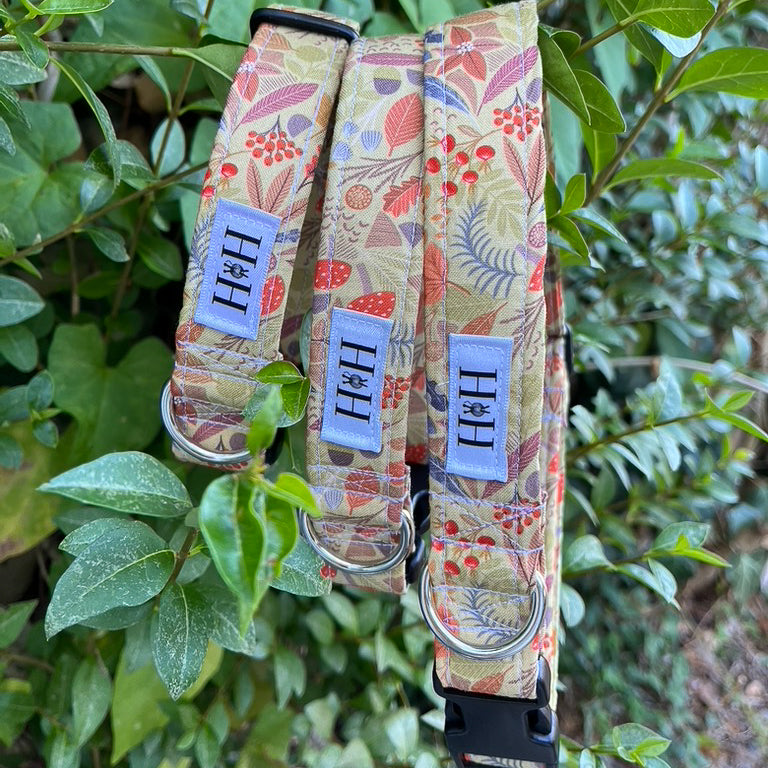 Autumn Foliage Dog Collar