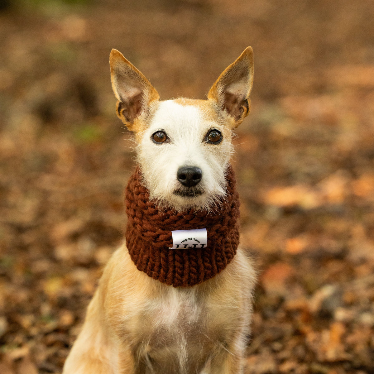 Chocolate 100% Merino Hand Knitted Dog Snood