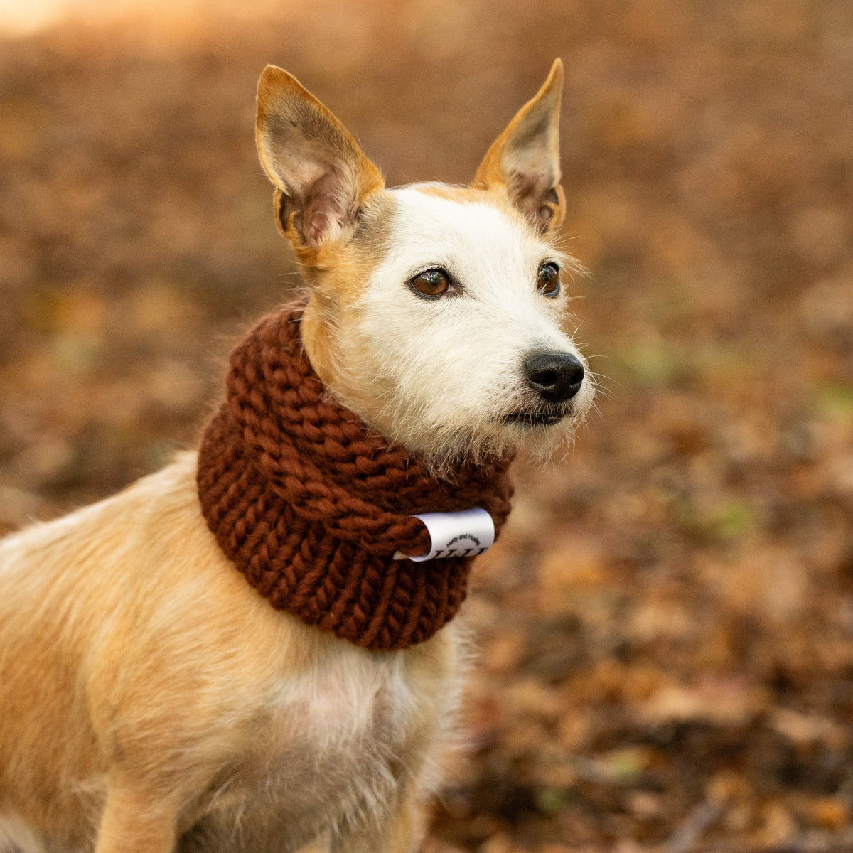 Chocolate 100% Merino Hand Knitted Dog Snood
