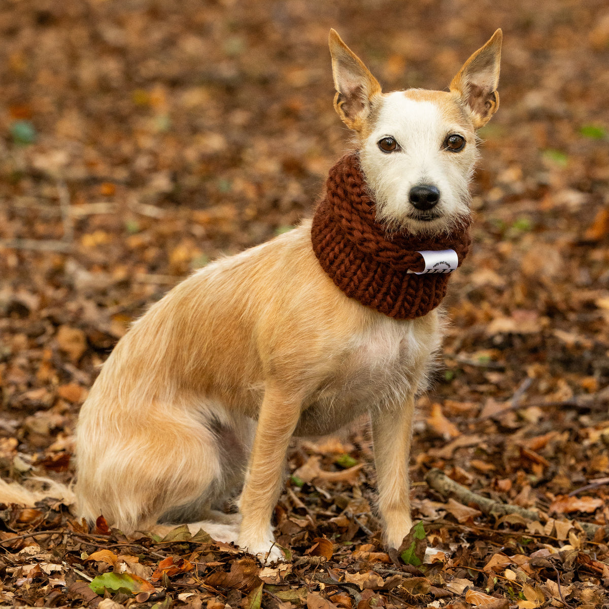Chocolate 100% Merino Hand Knitted Dog Snood