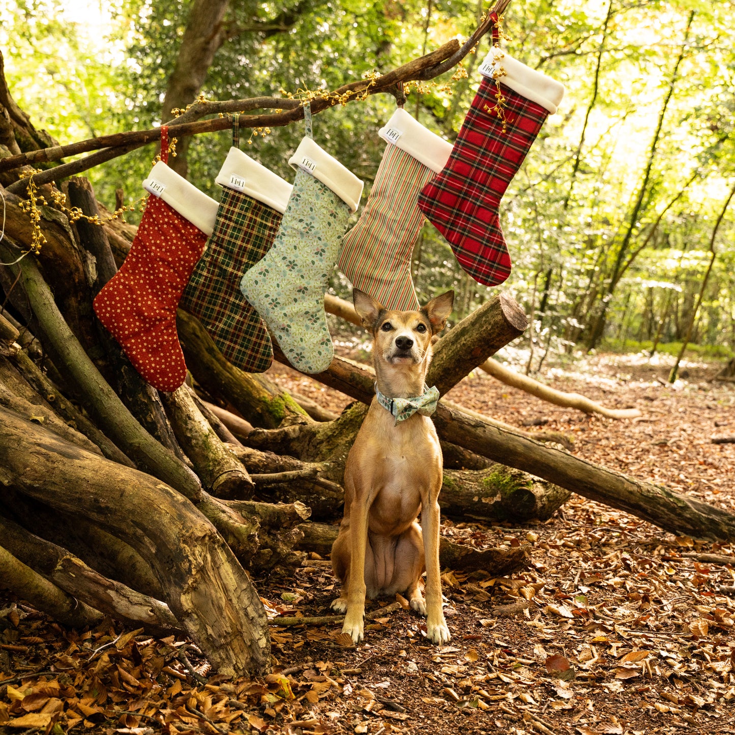 Christmas Holly Pet Bow / Bow Tie