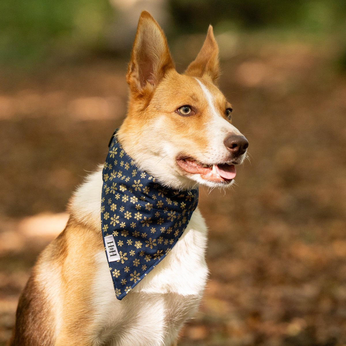 Christmas Navy Snowflakes Pet Bandana
