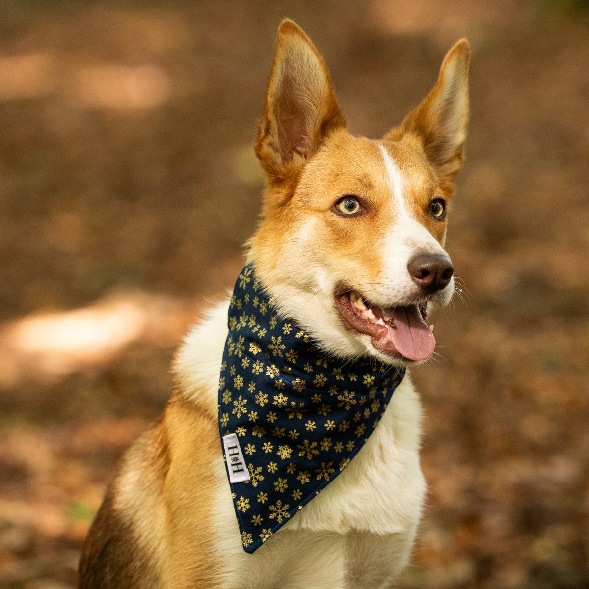 Christmas Navy Snowflakes Pet Bandana