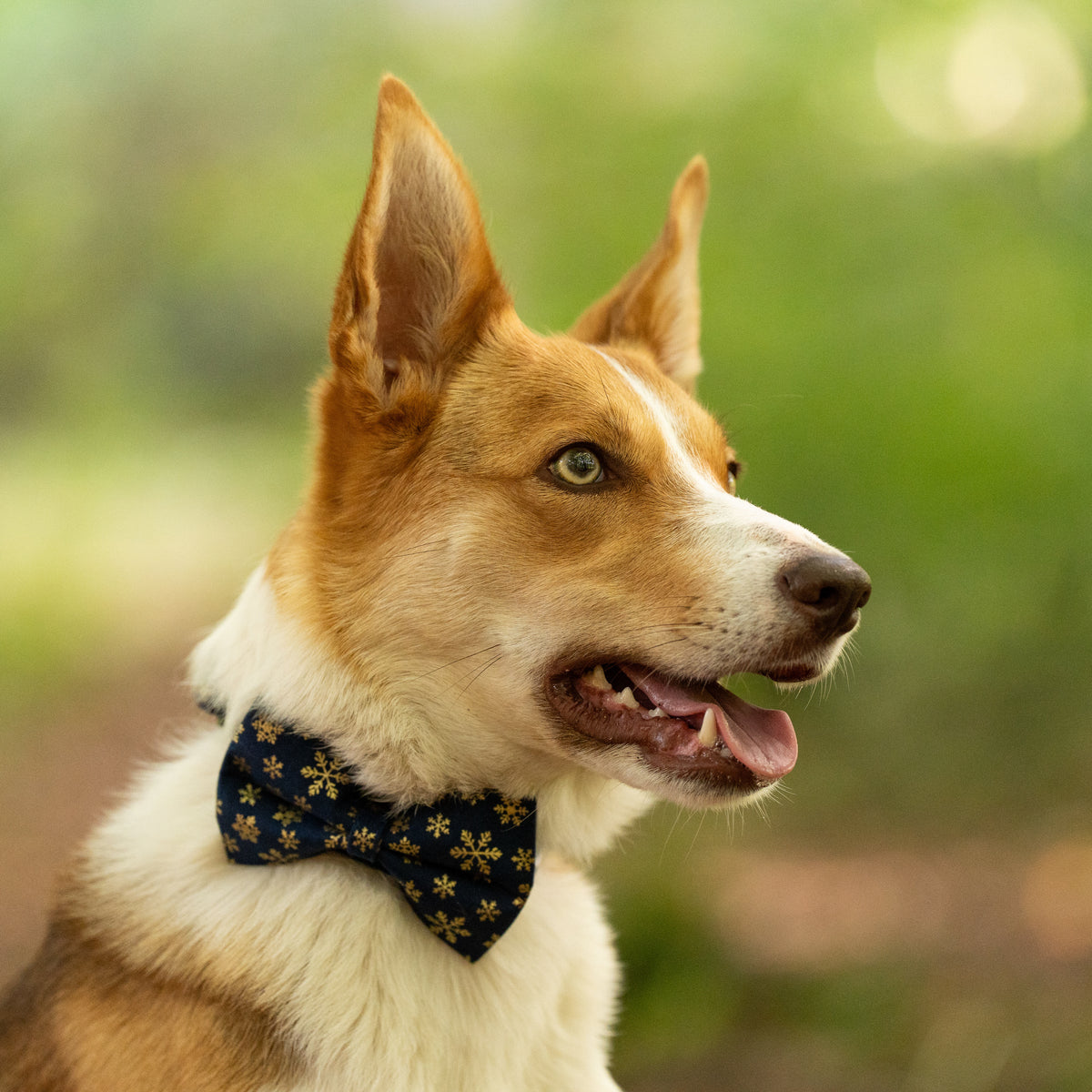 Christmas Navy Snowflakes Pet Bow / Bow Tie