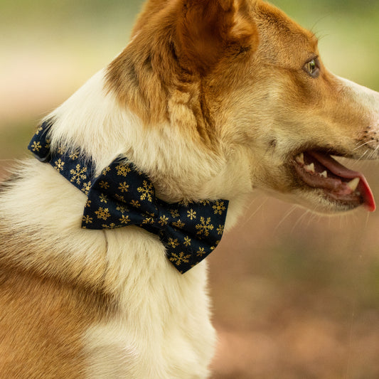 Christmas Navy Snowflakes Pet Bow / Bow Tie