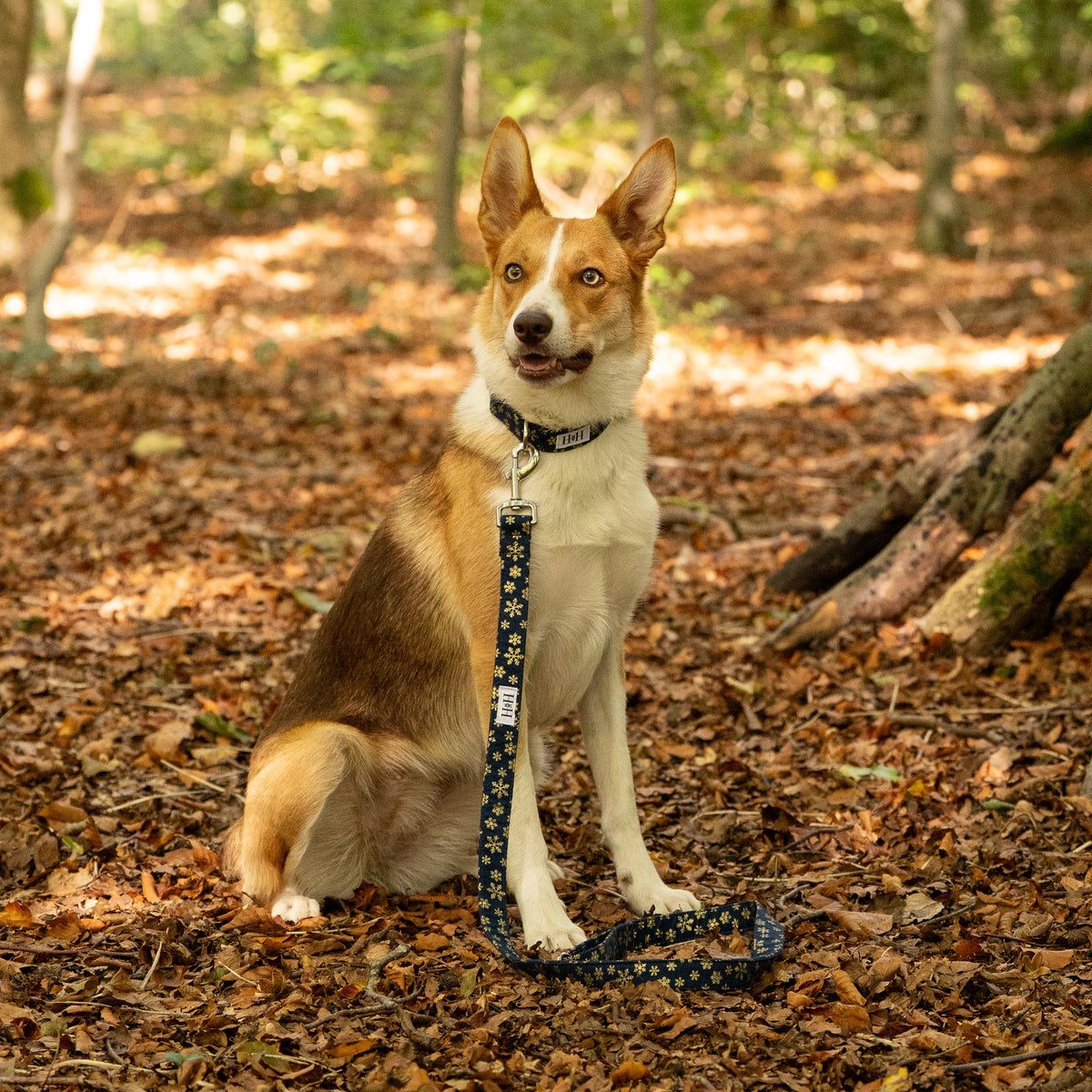 Christmas Navy Snowflakes Dog Lead / Leash