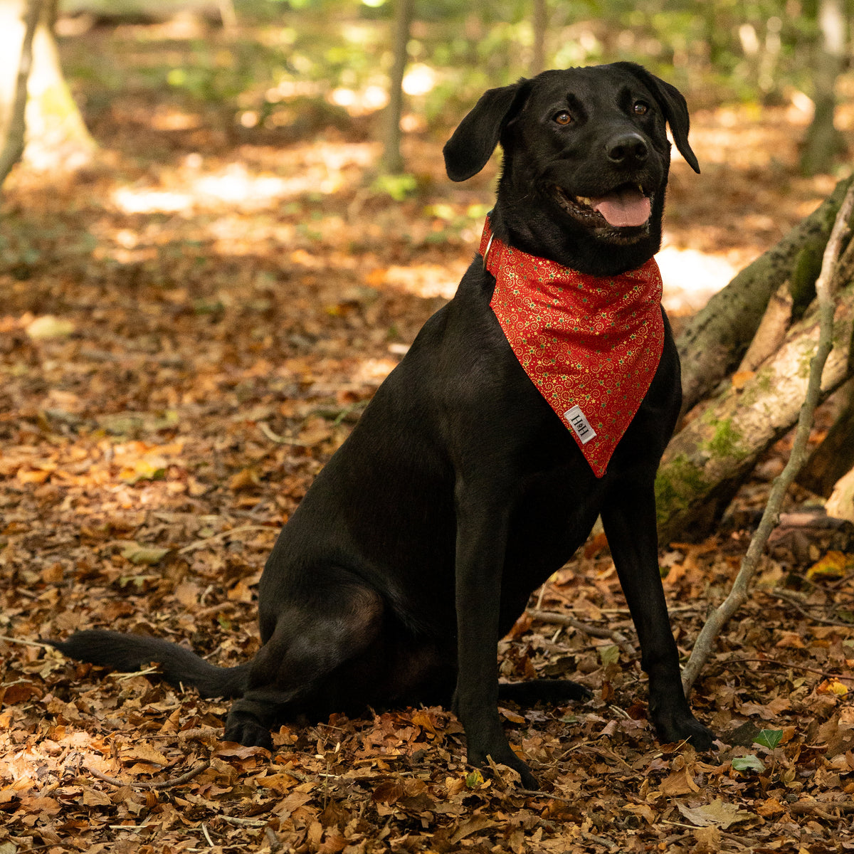 Christmas Red, Green & Gold Pet Bandana