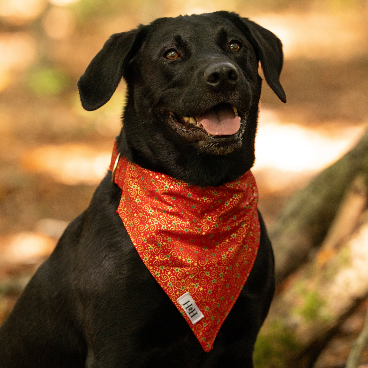 Christmas Red, Green & Gold Pet Bandana