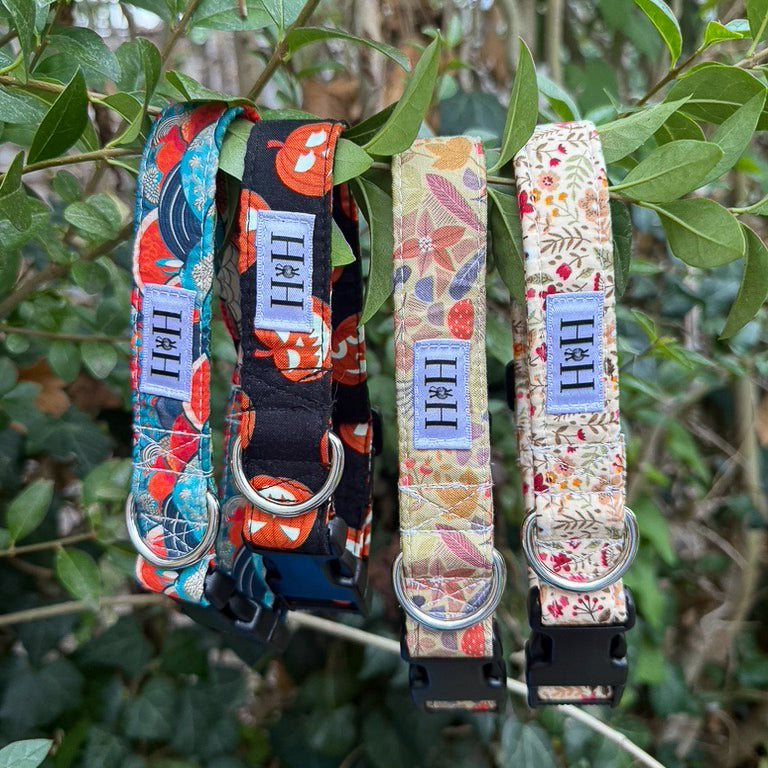 Autumn Foliage Dog Collar