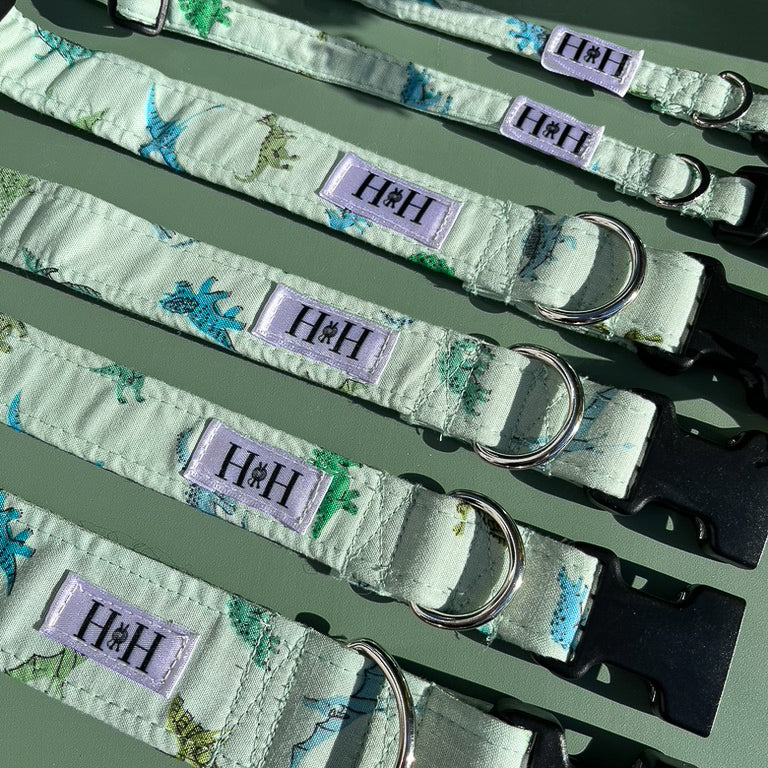 Green Dinosaurs Dog Collar
