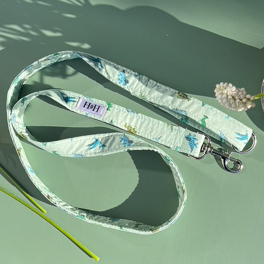 Green Dinosaur Dog Lead / Leash