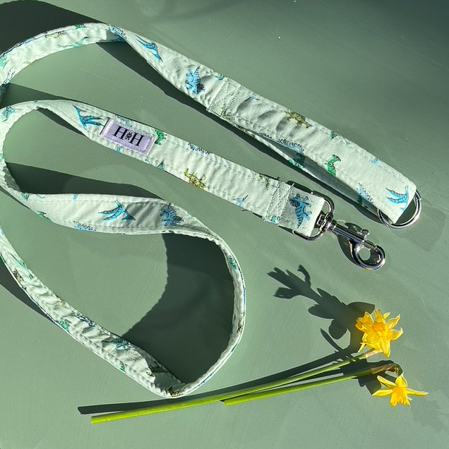 Green Dinosaur Dog Lead / Leash