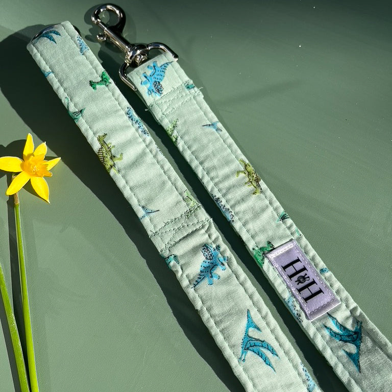 Green Dinosaur Dog Lead / Leash