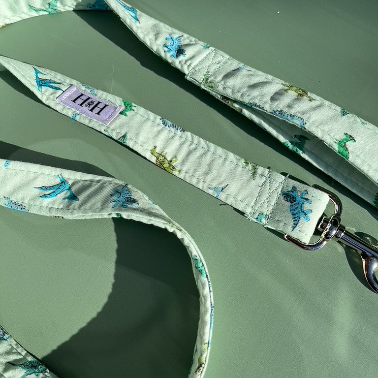 Green Dinosaur Dog Lead / Leash