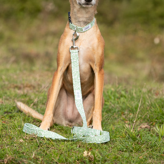 Green Floral Dog Lead / Leash