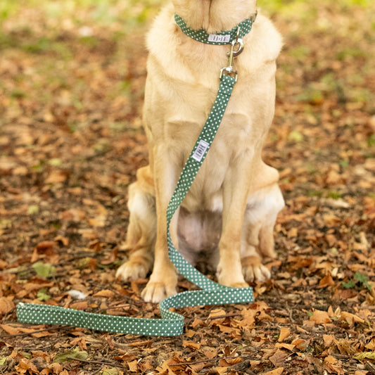 Green Polka Dot Dog Lead / Leash