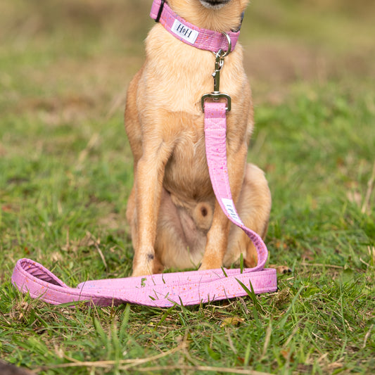 Purple Dream Dog Lead / Leash