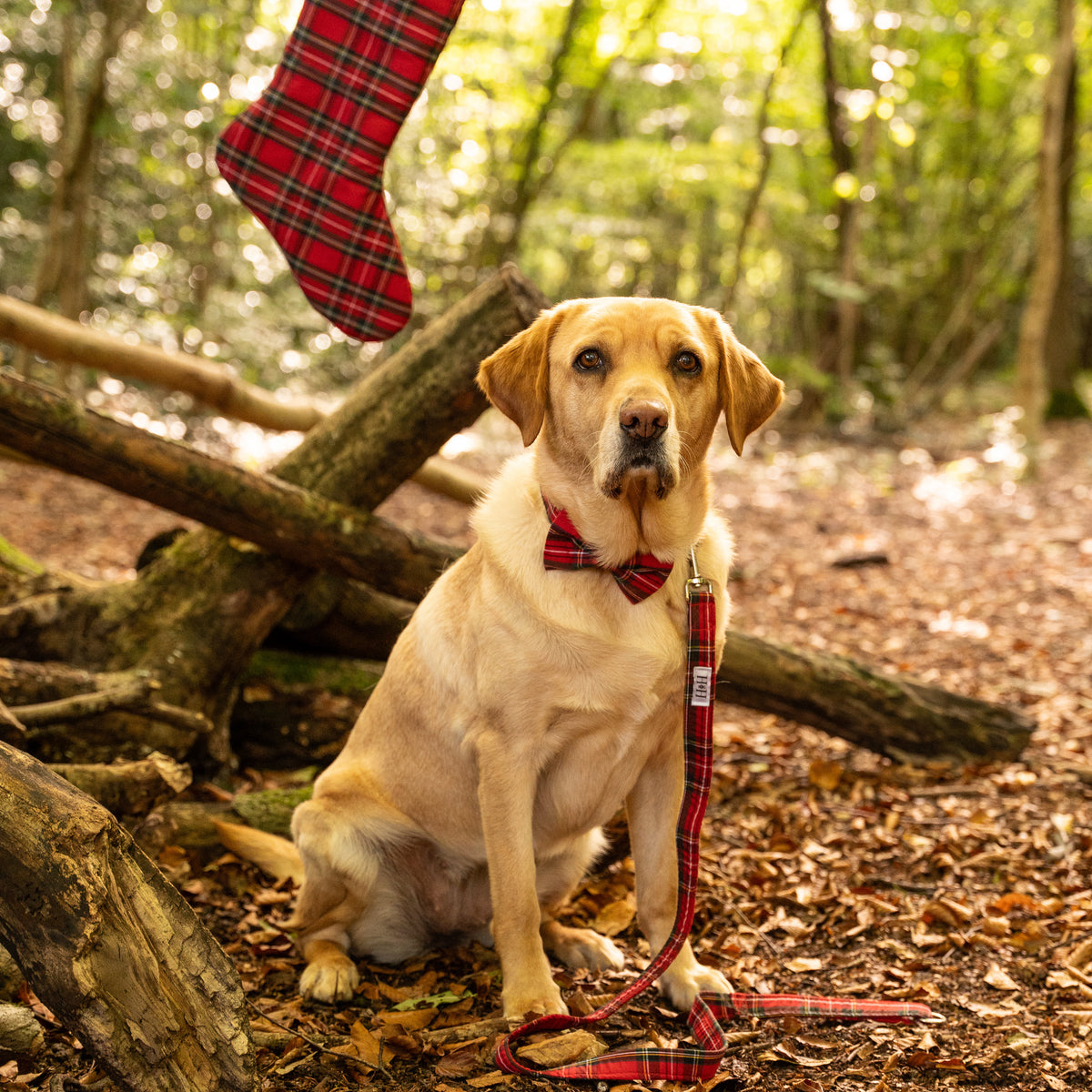 Red Tartan Dog Lead / Leash