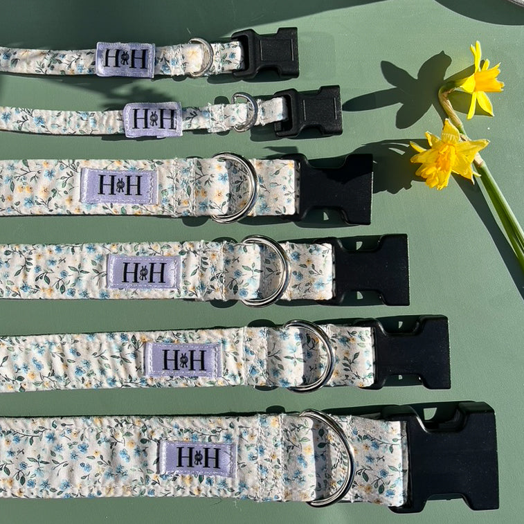Spring Floral Dog Collar