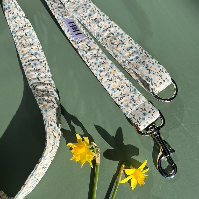 Spring Floral Dog Lead / Leash