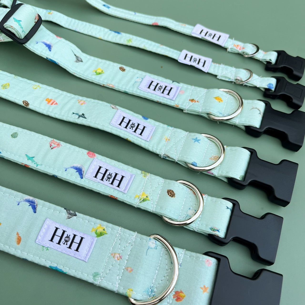 Under the Sea Dog Collar