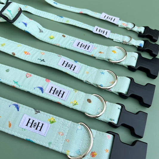 Under the Sea Dog Collar