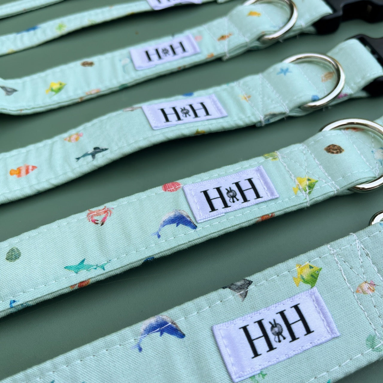 Under the Sea Dog Collar