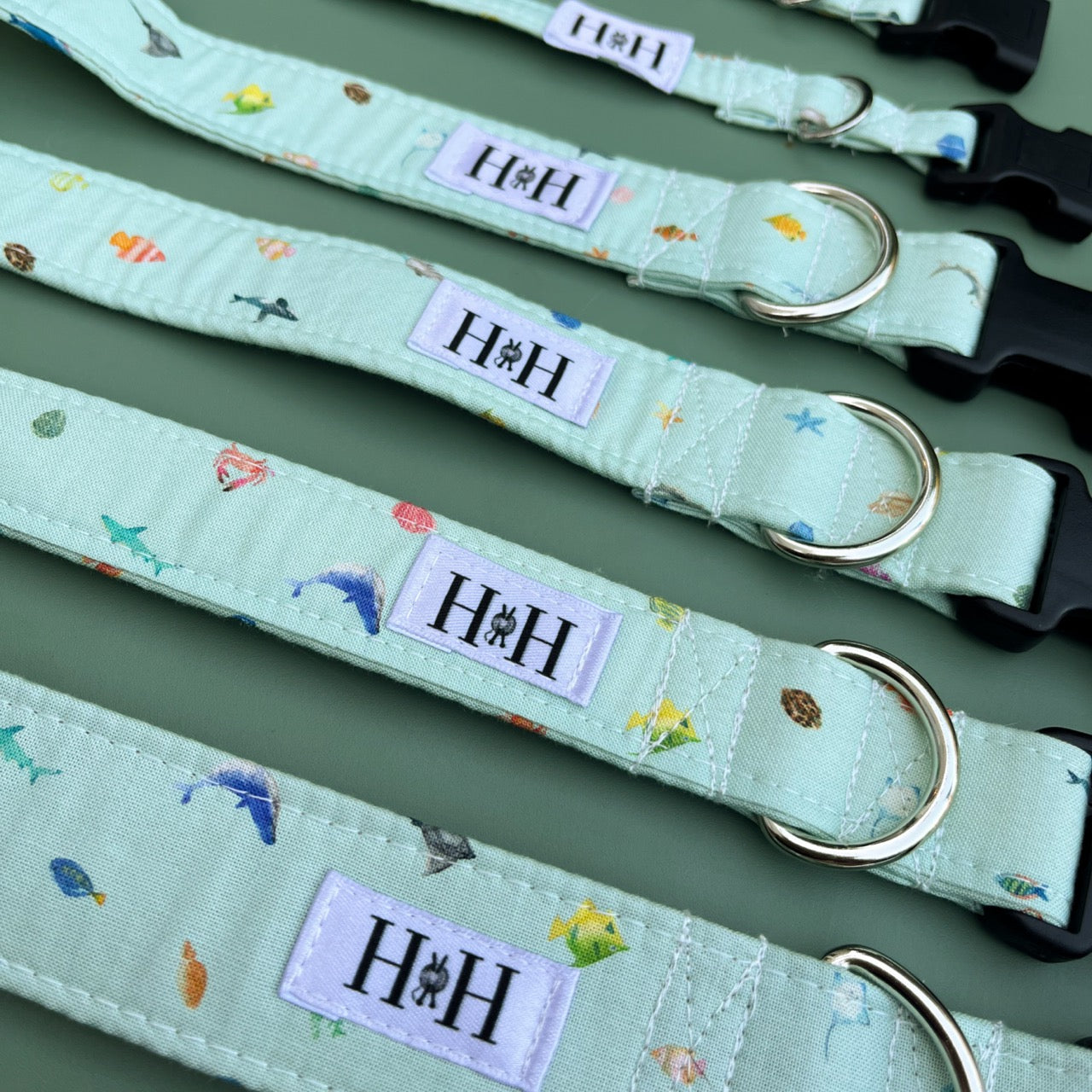 Under the Sea Dog Collar