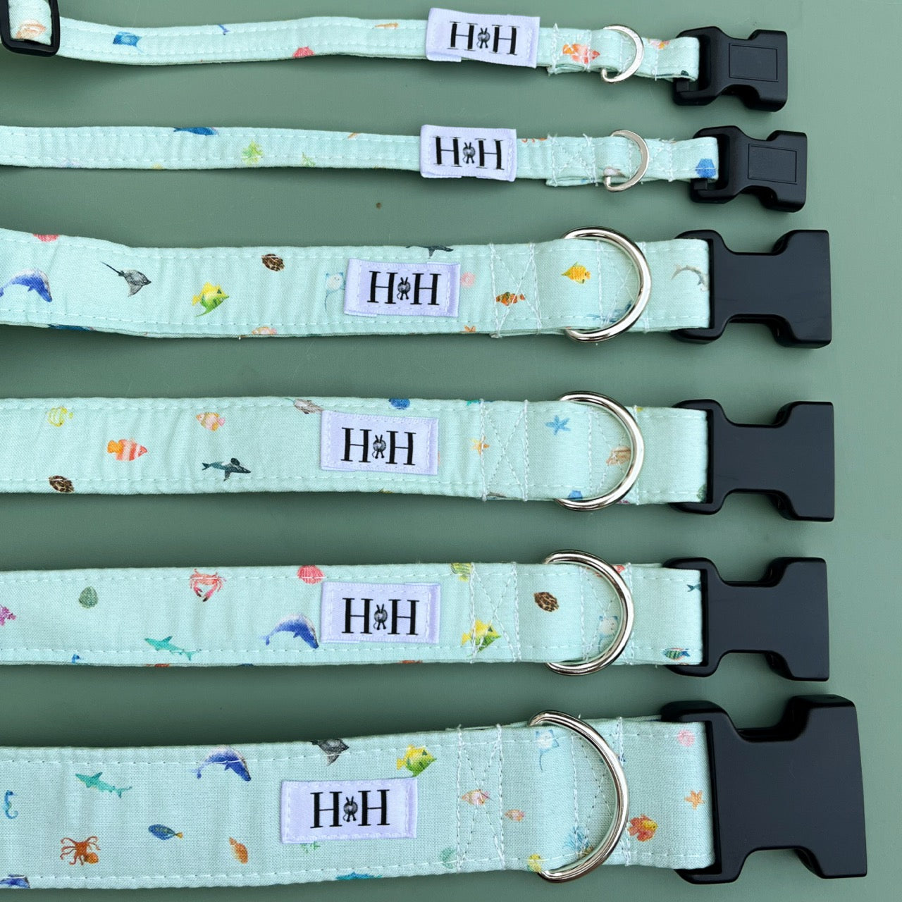 Under the Sea Dog Collar
