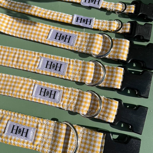 Yellow Gingham Dog Collar