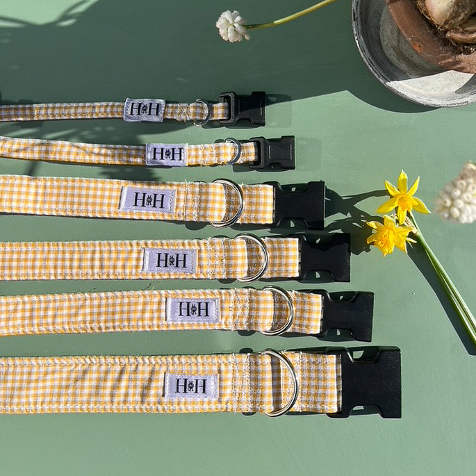 Yellow Gingham Dog Collar