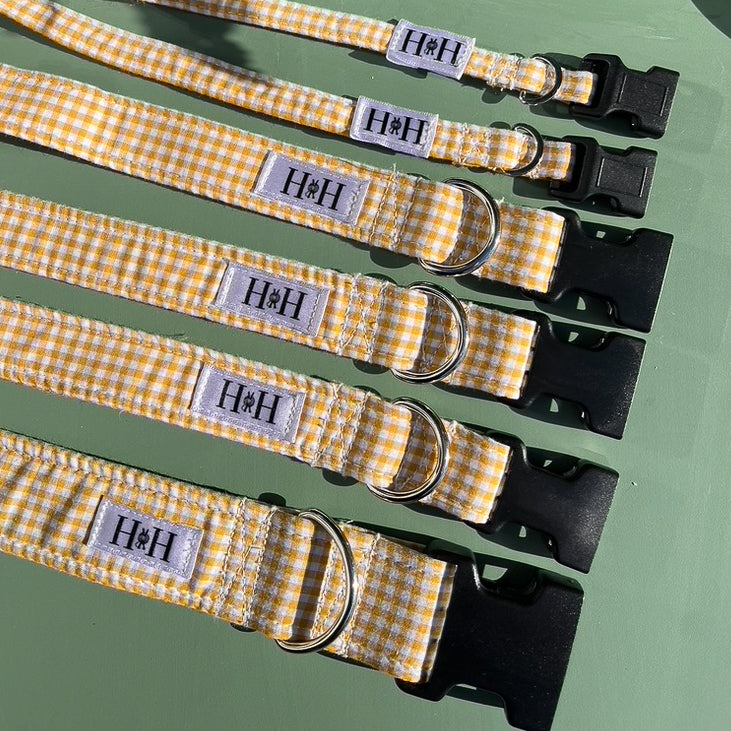 Yellow Gingham Dog Collar