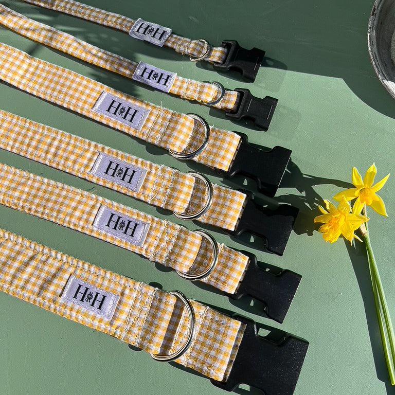 Yellow Gingham Dog Collar