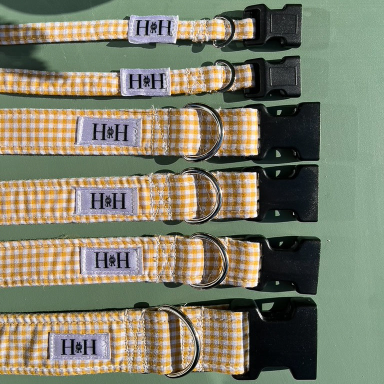 Yellow Gingham Dog Collar